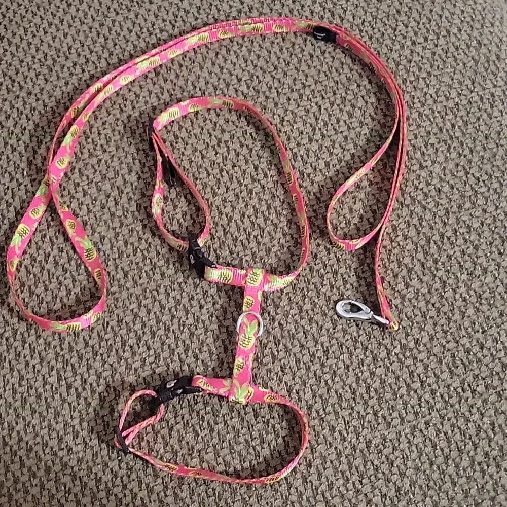 Cat leash and harness